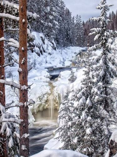 Марциальные воды Карелия