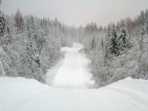 на водопад Кивач и органный концерт