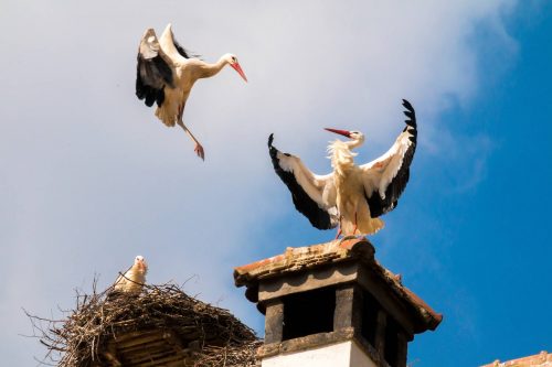 Хор Вирап, Арени, Нораванк – дороги, пропитанные солнцем